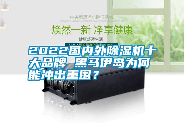 2022國內(nèi)外除濕機(jī)十大品牌 黑馬伊島為何能沖出重圍？