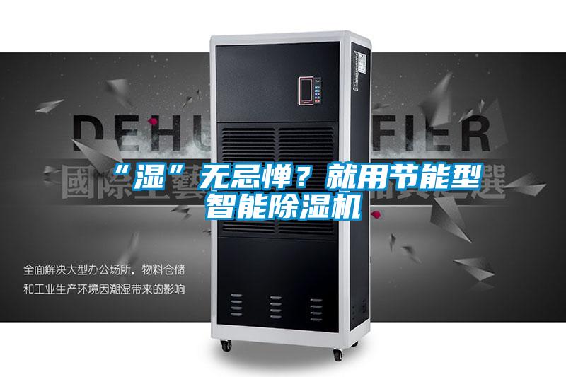 “濕”無忌憚？就用節(jié)能型智能除濕機