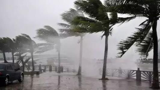 8月臺風雨即將來，除濕機還得用起來