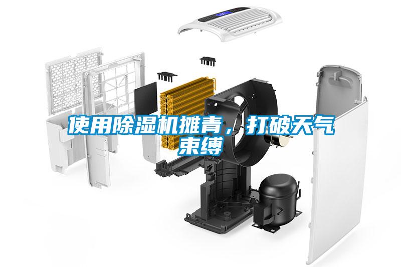 使用除濕機(jī)攤青，打破天氣束縛