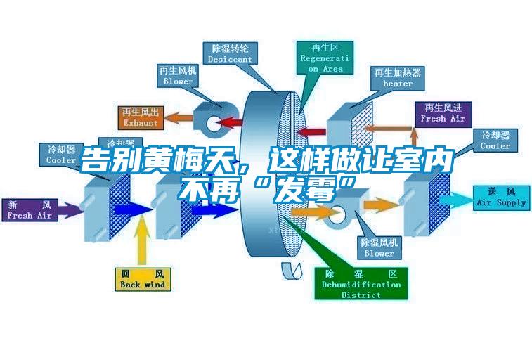 告別黃梅天，這樣做讓室內(nèi)不再“發(fā)霉”