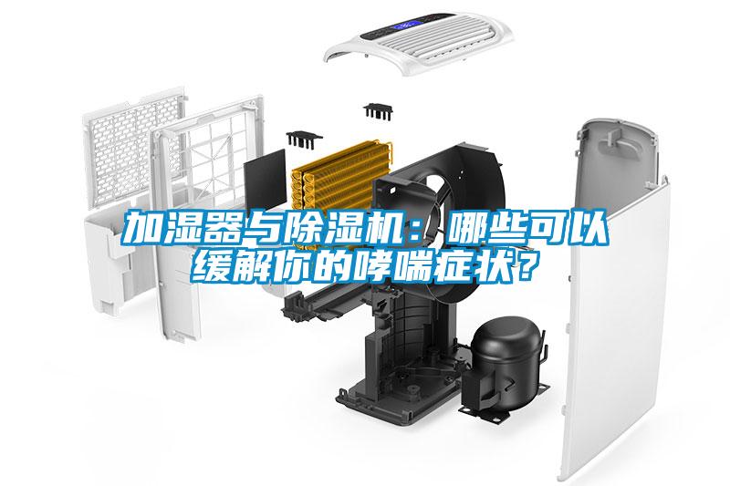 加濕器與除濕機：哪些可以緩解你的哮喘癥狀？