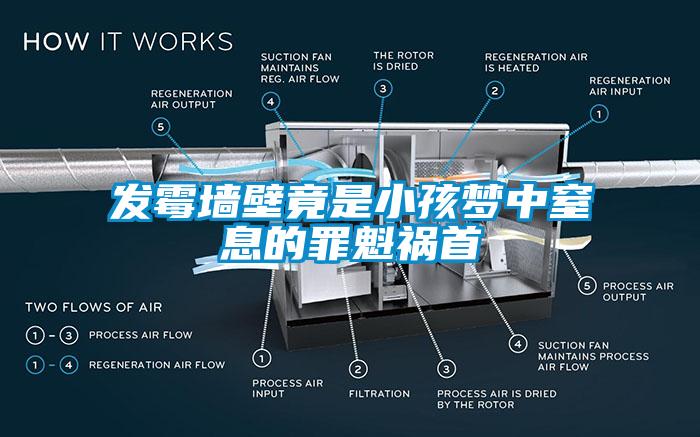 發(fā)霉墻壁竟是小孩夢中窒息的罪魁禍?zhǔn)?></div>
								<div   id=