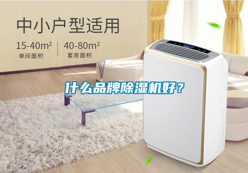 什么品牌除濕機(jī)好？