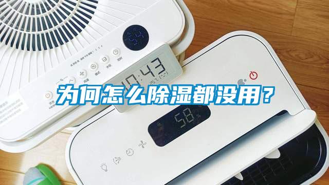 為何怎么除濕都沒用？