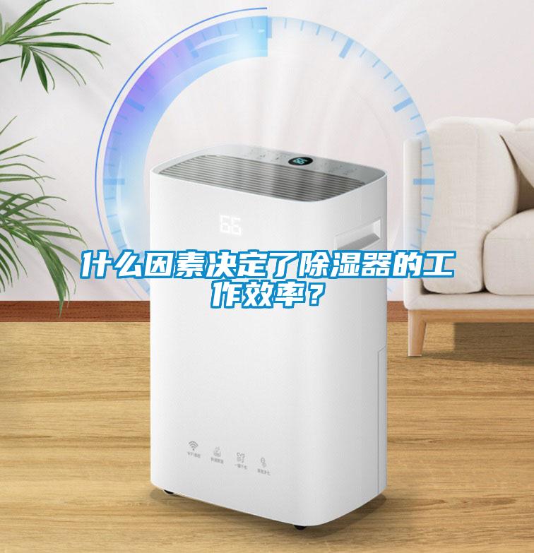 什么因素決定了除濕器的工作效率？