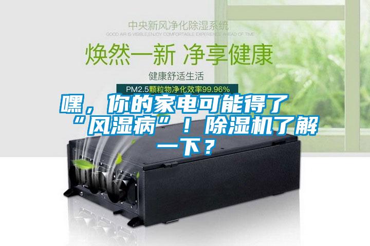 嘿，你的家電可能得了“風濕病”！除濕機了解一下？