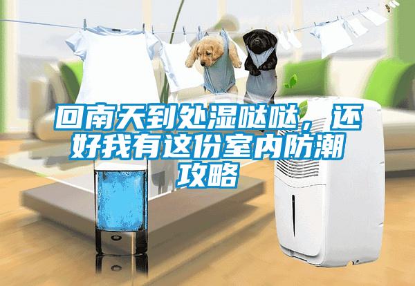 回南天到處濕噠噠，還好我有這份室內(nèi)防潮攻略