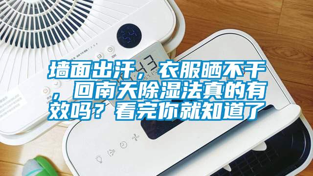 墻面出汗，衣服曬不干，回南天除濕法真的有效嗎？看完你就知道了