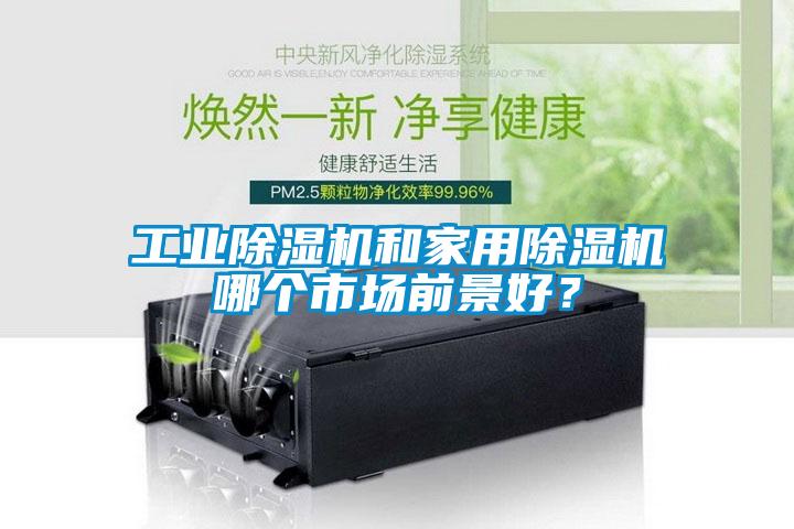 工業(yè)除濕機和家用除濕機哪個市場前景好？