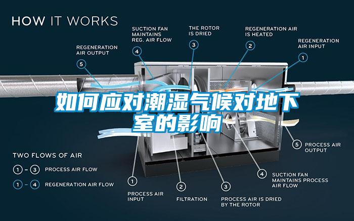 如何應(yīng)對潮濕氣候?qū)Φ叵率业挠绊?></div>
								<div   id=