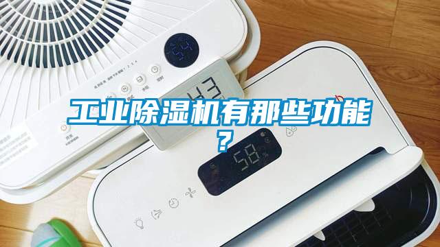 工業(yè)除濕機有那些功能？