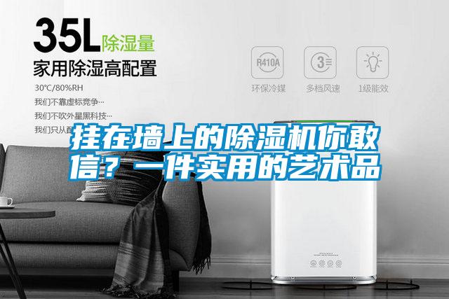 掛在墻上的除濕機你敢信？一件實用的藝術(shù)品