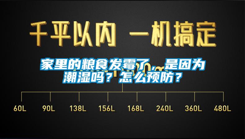 家里的糧食發(fā)霉了，是因為潮濕嗎？怎么預(yù)防？