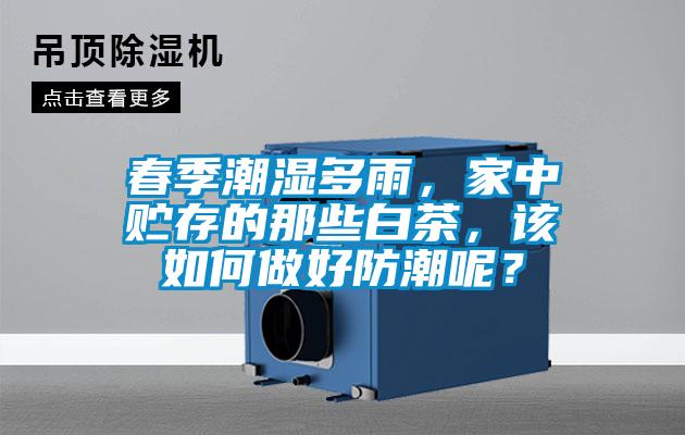 春季潮濕多雨，家中貯存的那些白茶，該如何做好防潮呢？