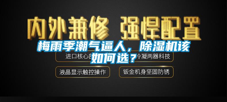 梅雨季潮氣逼人，除濕機(jī)該如何選？