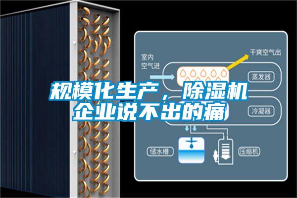 規(guī)模化生產(chǎn)，除濕機(jī)企業(yè)說不出的痛