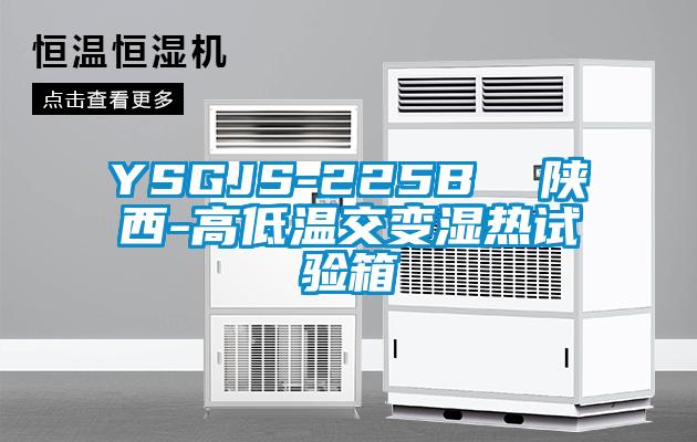 YSGJS-225B  陜西-高低溫交變濕熱試驗(yàn)箱