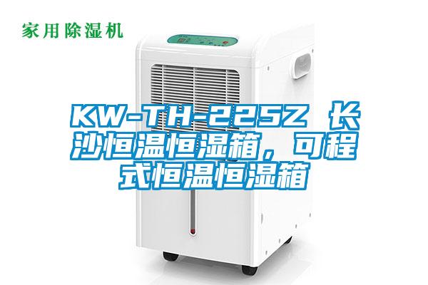 KW-TH-225Z 長(zhǎng)沙恒溫恒濕箱，可程式恒溫恒濕箱