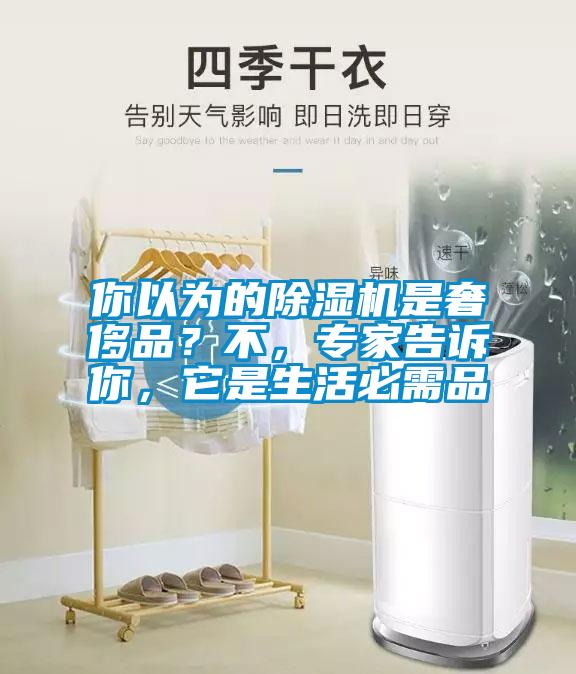 你以為的除濕機(jī)是奢侈品？不，專家告訴你，它是生活必需品