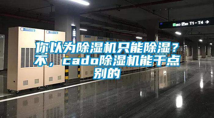 你以為除濕機只能除濕？不，cado除濕機能干點別的