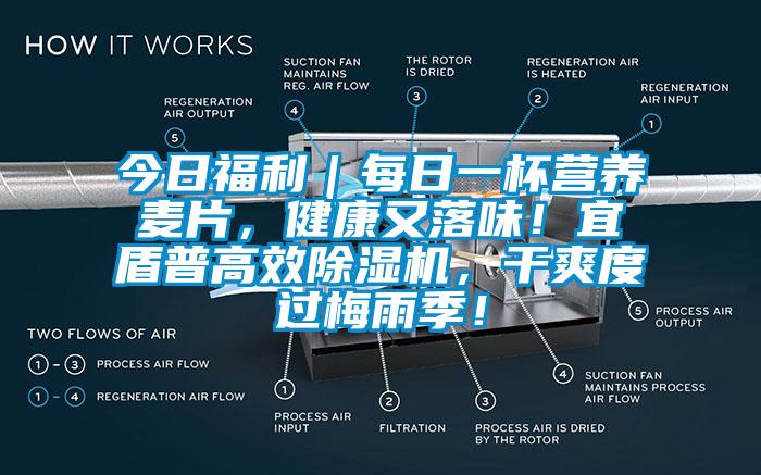 今日福利｜每日一杯營養(yǎng)麥片，健康又落味！宜盾普高效除濕機，干爽度過梅雨季！