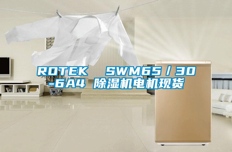 ROTEK  SWM65／30-6A4 除濕機(jī)電機(jī)現(xiàn)貨