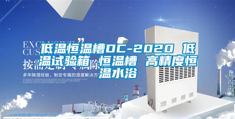 低溫恒溫槽DC-2020 低溫試驗(yàn)箱 恒溫槽 高精度恒溫水浴