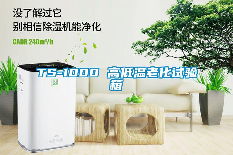 TS-1000 高低溫老化試驗(yàn)箱