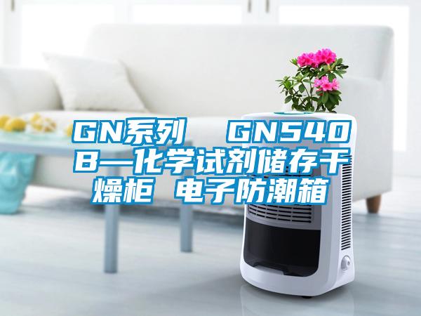 GN系列  GN540B—化學(xué)試劑儲(chǔ)存干燥柜 電子防潮箱