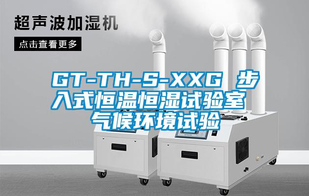 GT-TH-S-XXG 步入式恒溫恒濕試驗室 氣候環(huán)境試驗