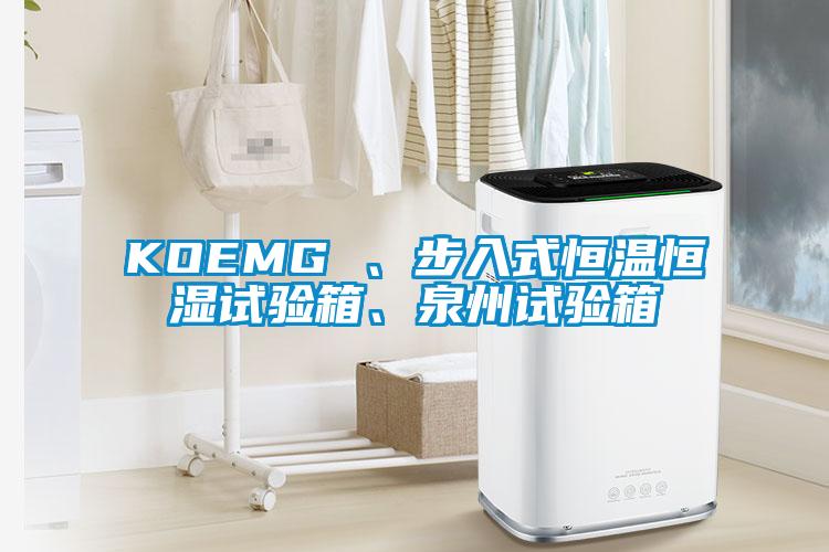 KOEMG 、步入式恒溫恒濕試驗箱、泉州試驗箱