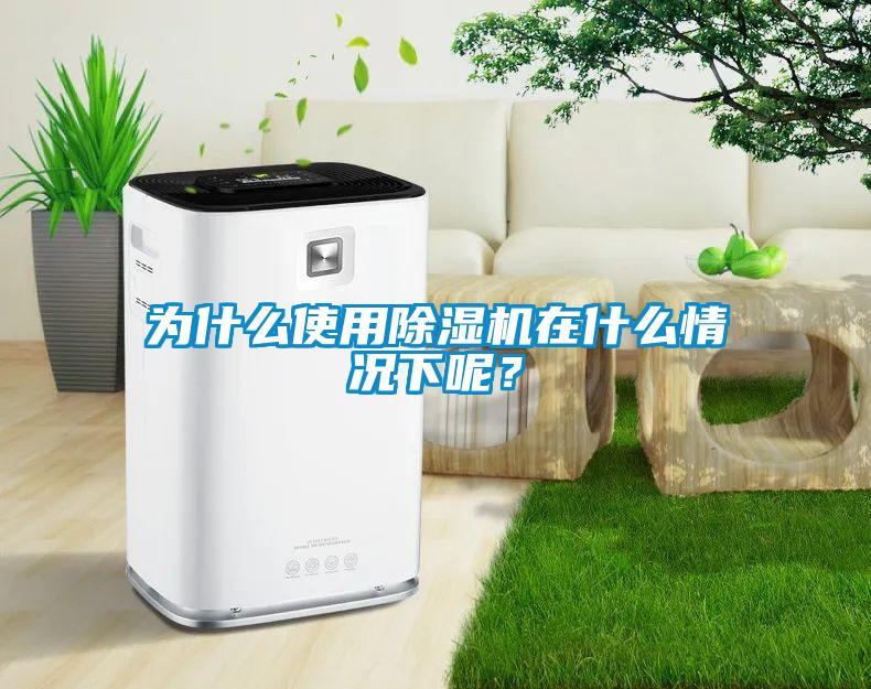 為什么使用除濕機(jī)在什么情況下呢？