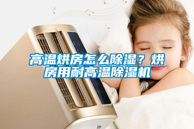 高溫烘房怎么除濕？烘房用耐高溫除濕機