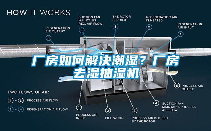 廠房如何解決潮濕？廠房去濕抽濕機