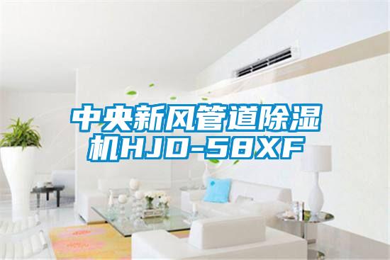 中央新風(fēng)管道除濕機HJD-58XF