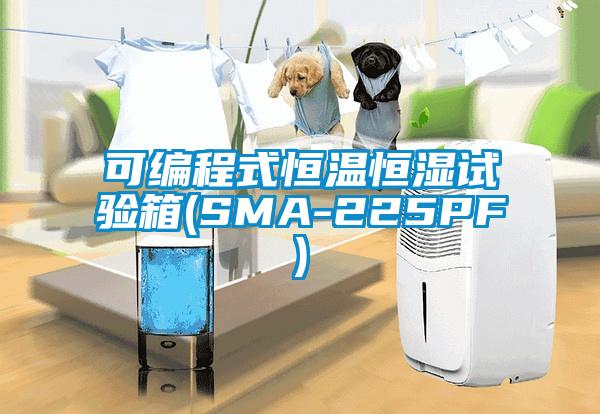 可編程式恒溫恒濕試驗箱(SMA-225PF)