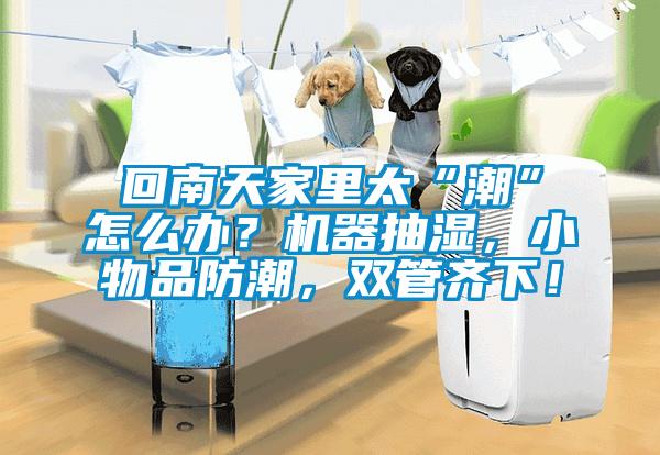 回南天家里太“潮”怎么辦？機(jī)器抽濕，小物品防潮，雙管齊下！