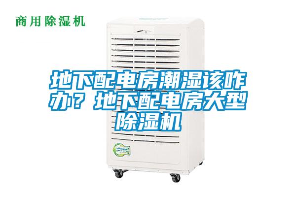 地下配電房潮濕該咋辦？地下配電房大型除濕機(jī)