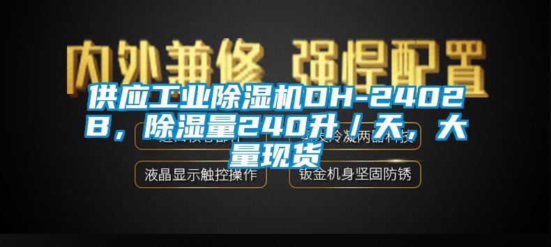 供應(yīng)工業(yè)除濕機(jī)DH-2402B，除濕量240升／天，大量現(xiàn)貨