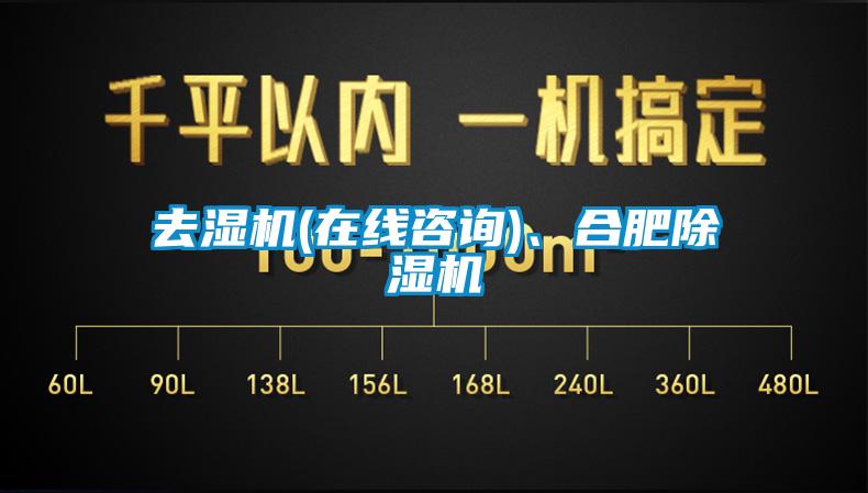 去濕機(jī)(在線咨詢)、合肥除濕機(jī)