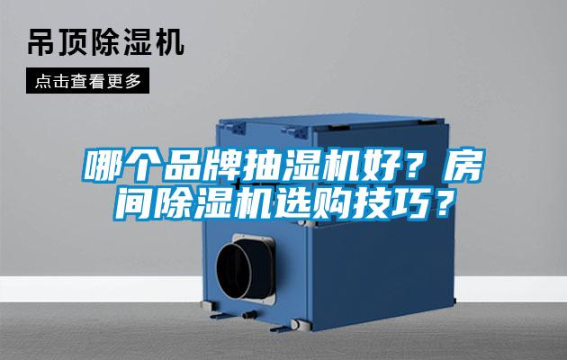 哪個(gè)品牌抽濕機(jī)好？房間除濕機(jī)選購(gòu)技巧？