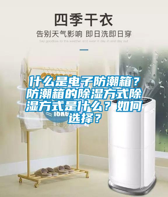 什么是電子防潮箱？防潮箱的除濕方式除濕方式是什么？如何選擇？