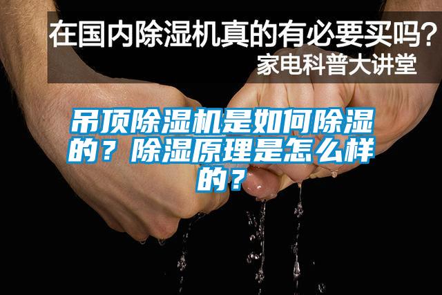 吊頂除濕機(jī)是如何除濕的？除濕原理是怎么樣的？