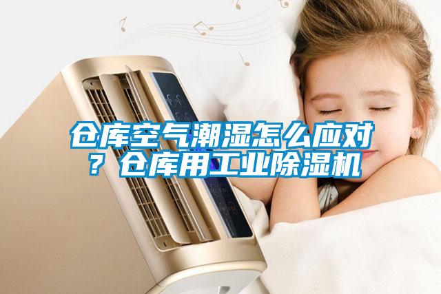 倉庫空氣潮濕怎么應對？倉庫用工業(yè)除濕機