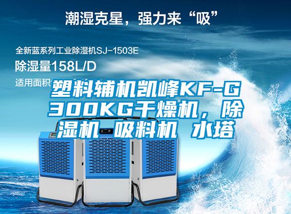 塑料輔機(jī)凱峰KF-G300KG干燥機(jī)，除濕機(jī) 吸料機(jī) 水塔