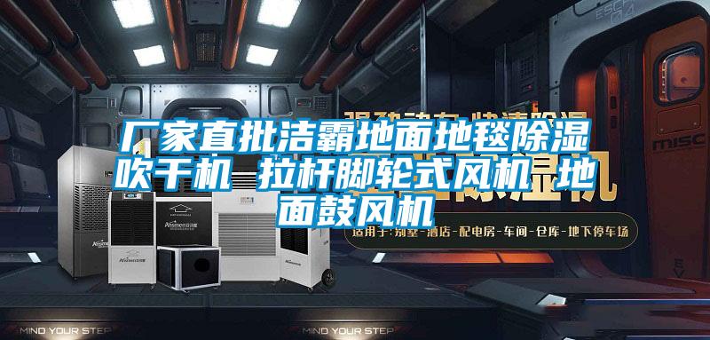 廠家直批潔霸地面地毯除濕吹干機 拉桿腳輪式風機 地面鼓風機