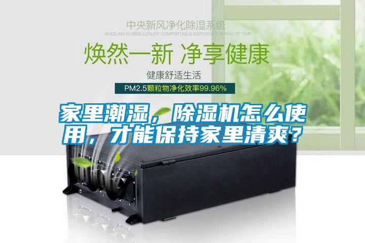 家里潮濕，除濕機怎么使用，才能保持家里清爽？