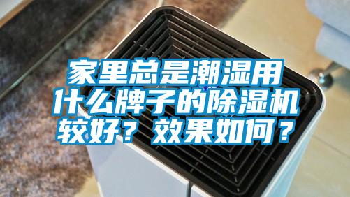 家里總是潮濕用什么牌子的除濕機較好？效果如何？