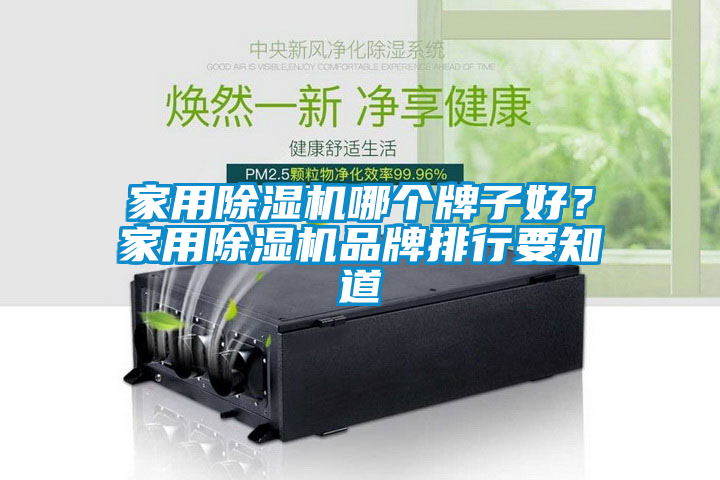 家用除濕機哪個牌子好？家用除濕機品牌排行要知道